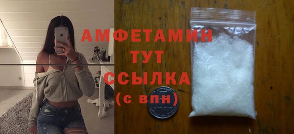 индика Медногорск