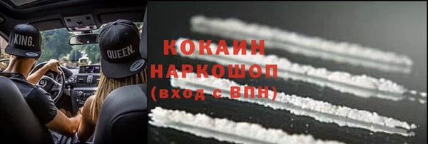 индика Медногорск