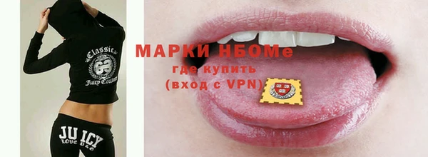 индика Медногорск