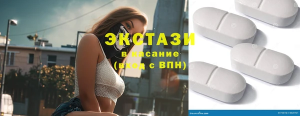 индика Медногорск