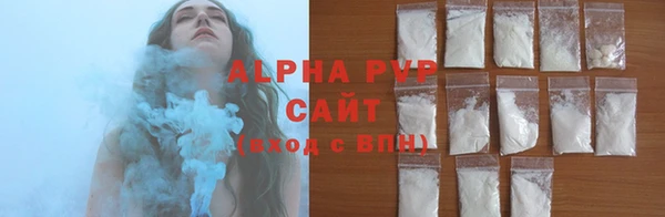 индика Медногорск