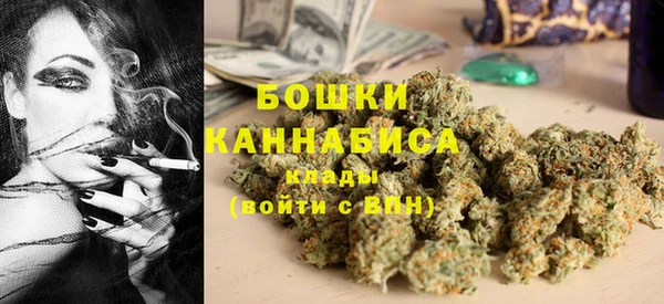 индика Медногорск