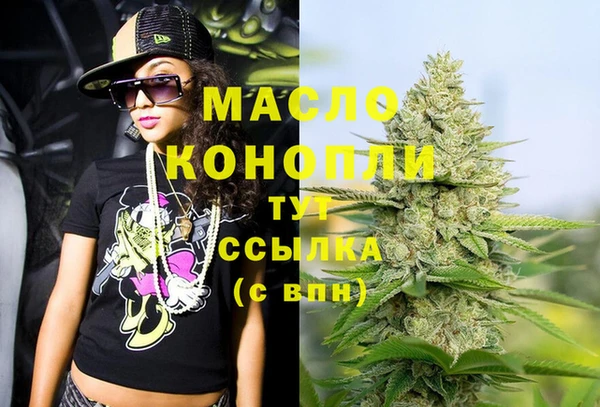 индика Медногорск