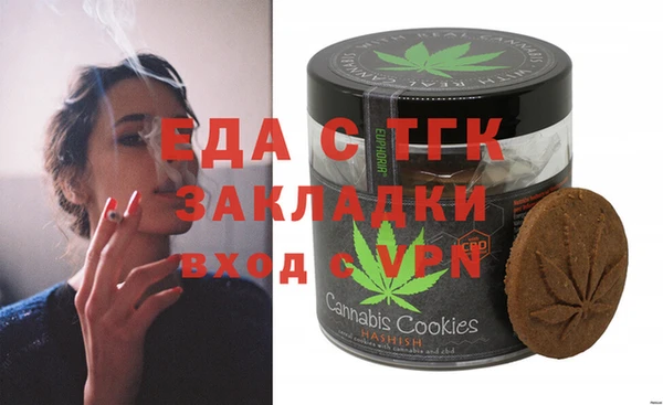 индика Медногорск