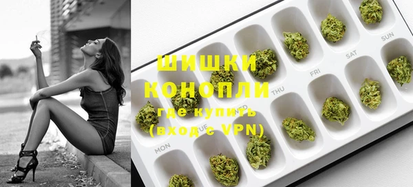 индика Медногорск