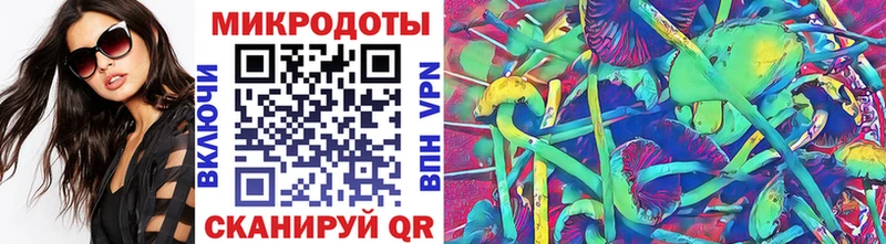 дарнет шоп Разумное Псилоцибиновые грибы Psilocybine cubensis